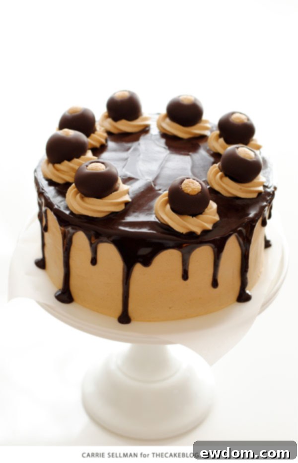 Delicious Chocolate Peanut Butter Cake on a serving platter