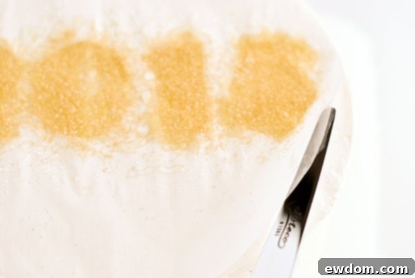 Sparkling Midnight Countdown Cake 18 Gently lifting the stencil edge from the chilled cake