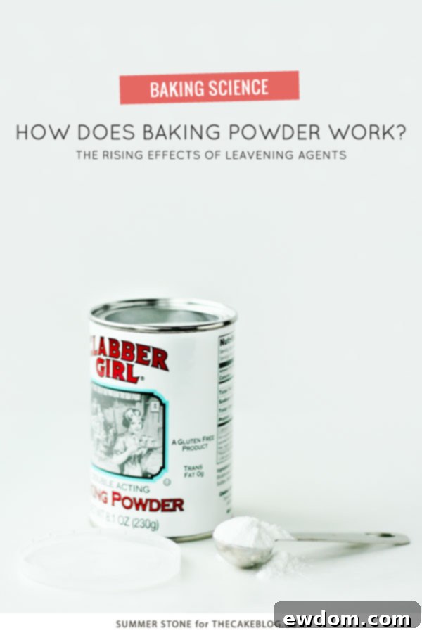 Understanding the Science of Leavening in Cakes with Baking Powder