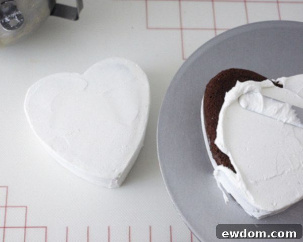 Valentines Candy Heart Surprise Cake 20 Icing heart cake layers, one on a cardboard base for the lid, one on a platter