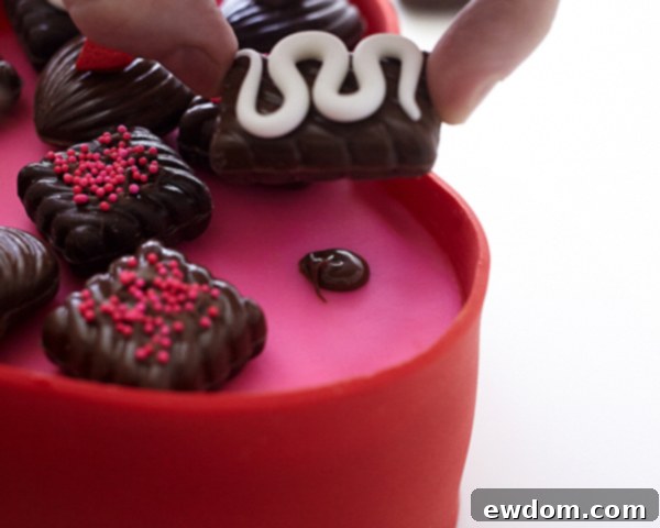 Valentines Candy Heart Surprise Cake 35 Arranging and attaching decorated chocolate candies inside the hot pink lined cake box