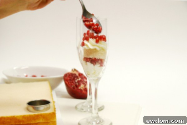 Valentine's Champagne Shooters | Second Pomegranate Layer