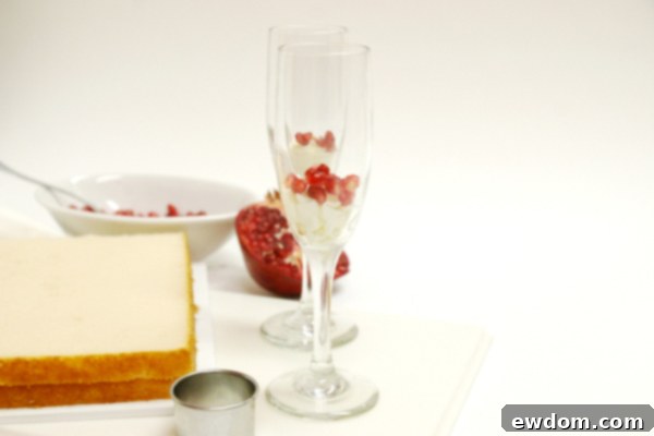 Valentine's Champagne Shooters | Adding Pomegranates