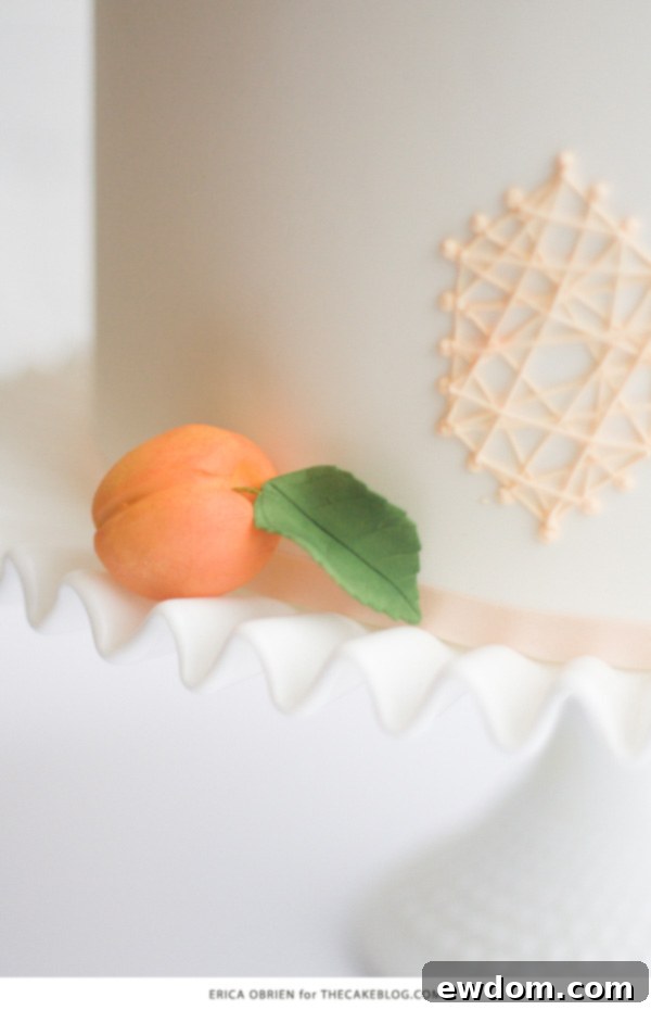 Beautifully crafted modeling chocolate apricots, shaded with petal dust, adorning the modern peach string art cake.