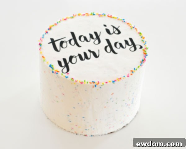 Sprinkling additional jimmies around the outside edge of the DIY sprinkle cake, adding a final festive touch to Graduation Party Desserts.