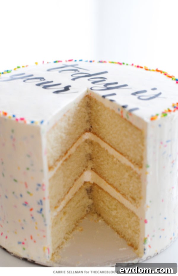 Close-up of a slice of the DIY sprinkle cake, revealing the perfectly cut edible writing, a delightful treat among Graduation Party Desserts.