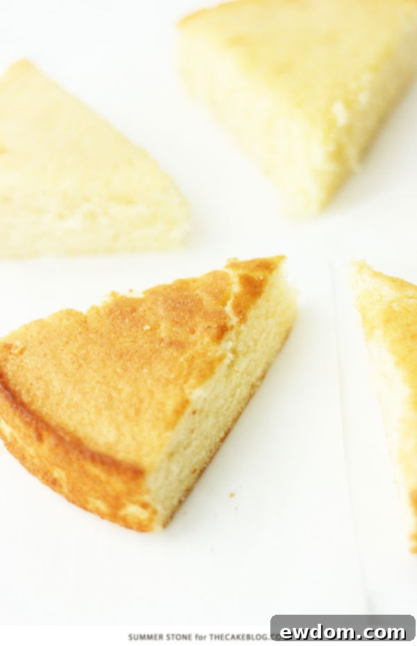 Baking Temperature Comparison | Why an accurate oven temp actually matters | by Summer Stone for TheCakeBlog.com