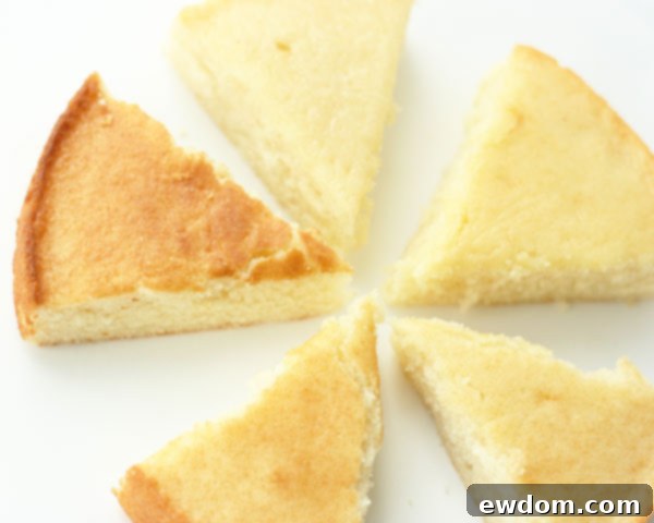 Baking Temperature Comparison | Why an accurate oven temp actually matters | by Summer Stone for TheCakeBlog.com