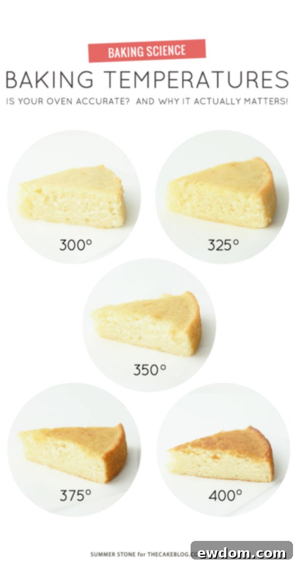 Baking Temperature Comparison | Why an accurate oven temp actually matters | by Summer Stone for TheCakeBlog.com
