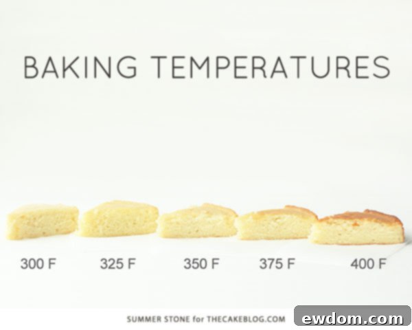 Baking Temperature Comparison | Why an accurate oven temp actually matters | by Summer Stone for TheCakeBlog.com