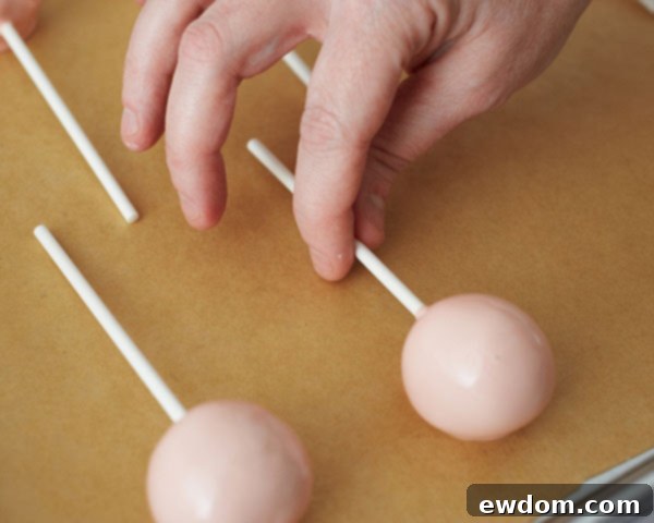 Coated large cake pops cooling on a tray.