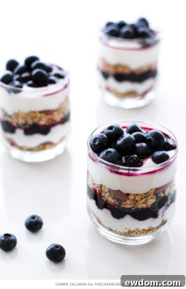 Berry Bliss Parfaits 4 A beautifully composed side view of a Roasted Blueberry Breakfast Parfait, highlighting distinct, mouth-watering layers of fruit, granola, and creamy honey yogurt.