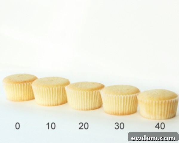 The Essential Post-Bake Chill for Perfect Cupcakes 4 Visual Comparison: Cupcakes with Different Batter Rest Times – Examining Crumb and Shape | Summer Stone Baking Experiment