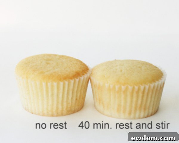 The Essential Post-Bake Chill for Perfect Cupcakes 5 The 40-Minute Rested Cupcake: Observing the Impact of Prolonged Batter Resting and Stirring | Baking Experiment Results