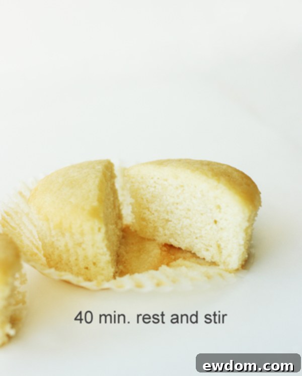 The Essential Post-Bake Chill for Perfect Cupcakes 6 Final Comparison: Cupcakes Baked Immediately vs. Rested Batter – The Ultimate Texture Test | Summer Stone Baking Science