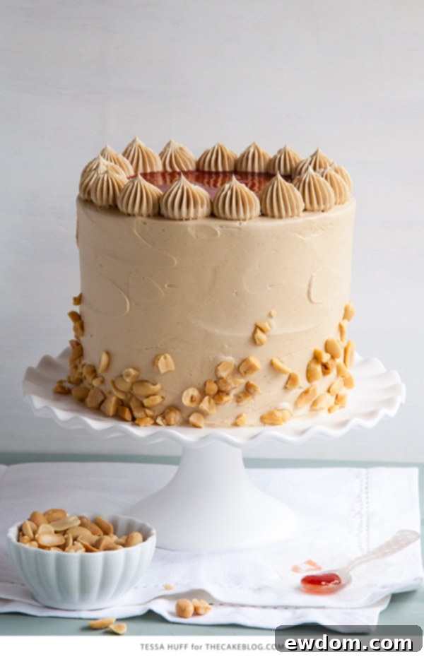 Peanut Butter & Jelly Cake with brown sugar peanut butter frosting, strawberry jam, and chopped peanuts by Tessa Huff