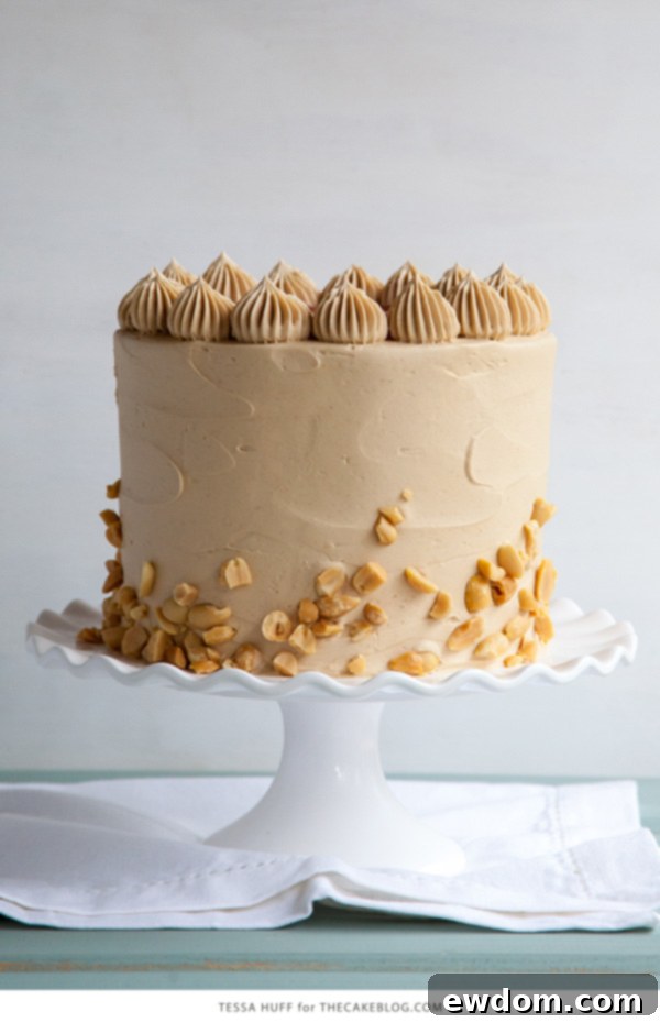 Top view of Peanut Butter & Jelly Cake with jam and buttercream swirls