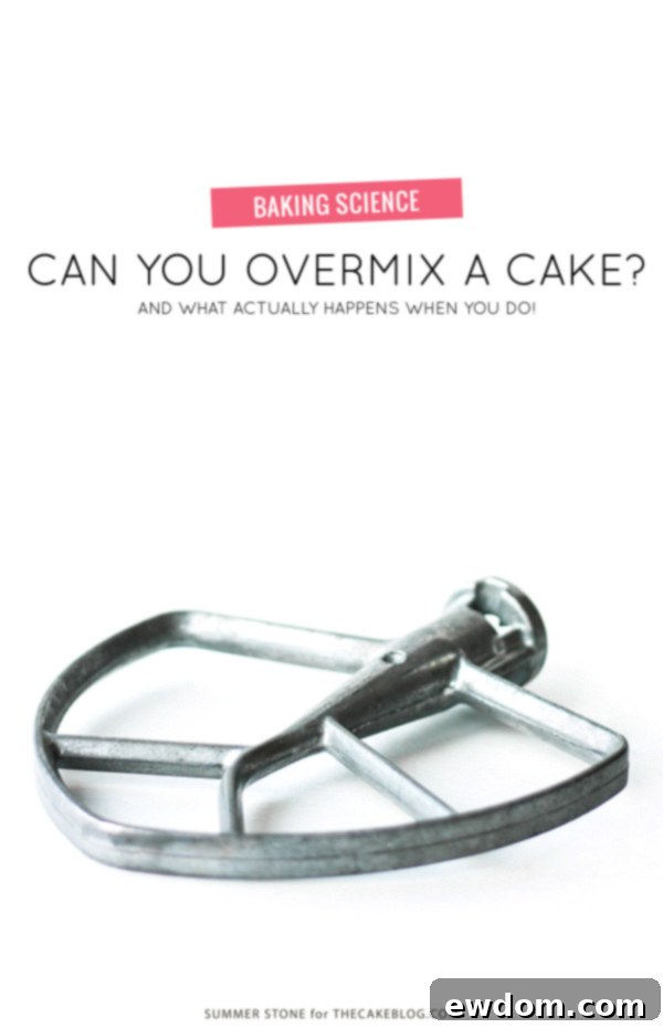 The Pitfalls of Overmixing Cake Batter 2 What happens when you overmix cake batter? | by Summer Stone for TheCakeBlog.com