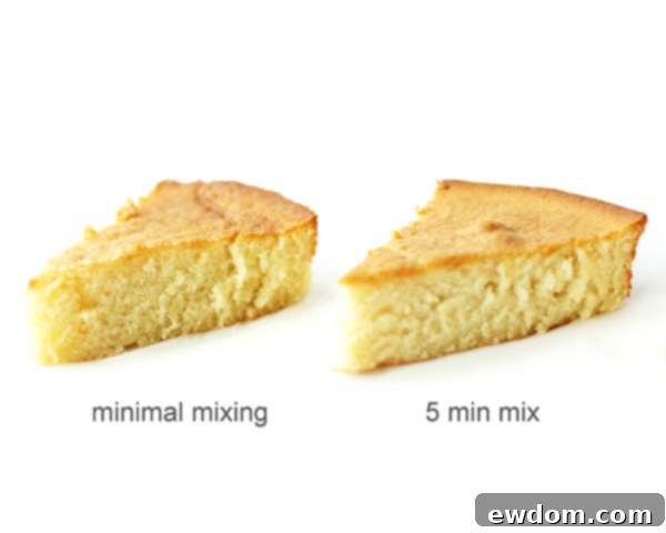 The Pitfalls of Overmixing Cake Batter 4 What happens when you overmix cake batter? | Mix Until Just Combined | by Summer Stone for TheCakeBlog.com