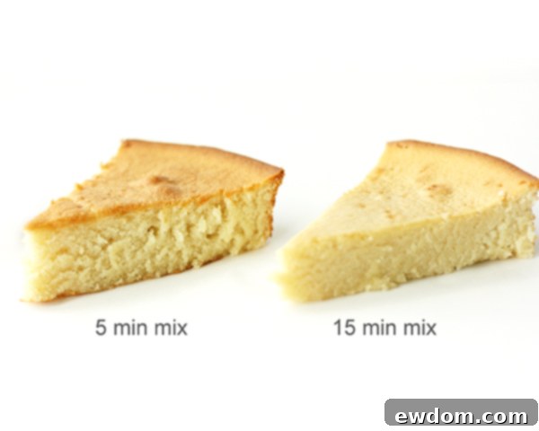 The Pitfalls of Overmixing Cake Batter 5 What happens when you overmix cake batter? | Mix Until Just Combined | by Summer Stone for TheCakeBlog.com