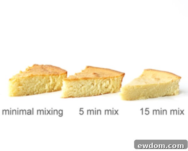 The Pitfalls of Overmixing Cake Batter 6 What happens when you overmix cake batter? | Mix Until Just Combined | by Summer Stone for TheCakeBlog.com