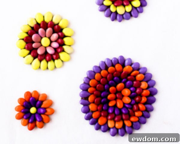 Finished chocolate sunflower seed medallions neatly arranged on parchment paper, firming up before application