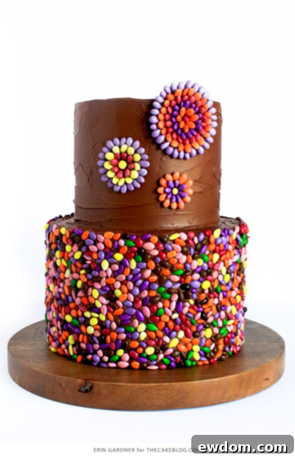 The final decorated chocolate sunflower seed cake, showcasing both the confetti sides and elegant medallions, a true baking triumph