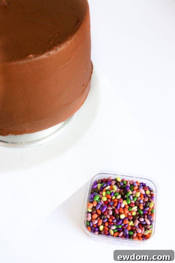 Cake being carefully positioned on an upside-down cake pan, preparing for chocolate sunflower seed application around its base
