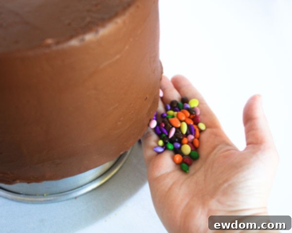 Hands carefully pressing vibrant chocolate sunflower seeds into the soft buttercream frosting on the side of a cake