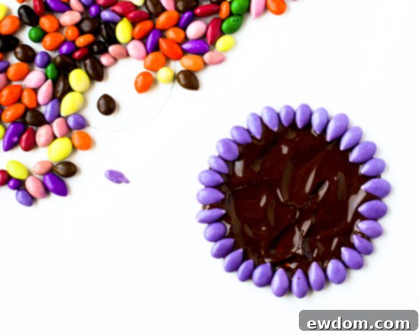 Detailed shot of perfectly formed chocolate sunflower seed medallions with colorful layers, ready to set