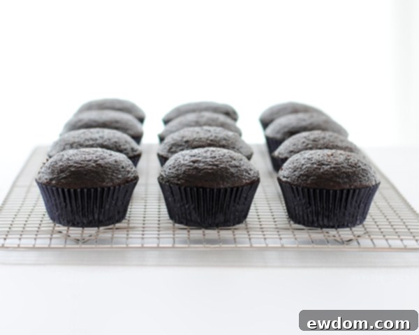 Touchdown Treat Cupcakes 6 NFL Game Day Cupcakes | chocolate cupcakes with fluffy marshmallow frosting and dipped in chocolate. Perfect for football tailgating and homegating.