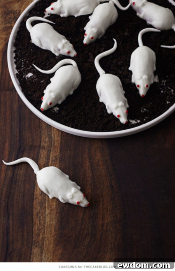 Creepy Mice Cakes! Learn how to make these spooky, red velvet filled, mice cakes -- a Halloween food sure to freak out your party guests | Cakegirls for TheCakeBlog.com