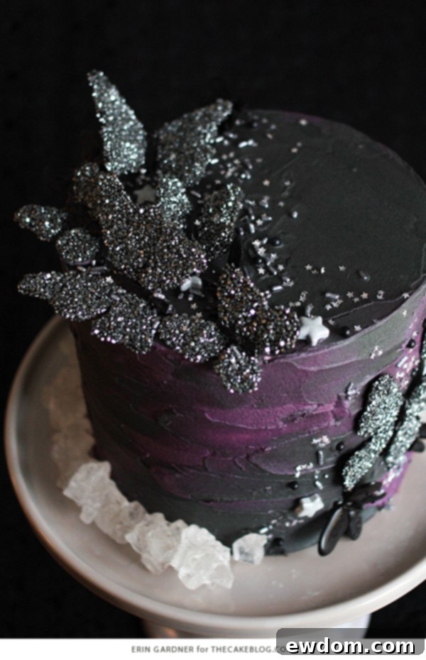 Close-up of the Black Butterfly Cake with silver sprinkles and edible stars