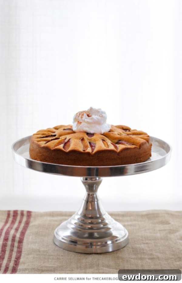 Sweet Plum Cake with Tangy Yogurt Cream 2 Elegant Spiced Plum Cake with Whipped Greek Yogurt, perfect for fall and holiday entertaining