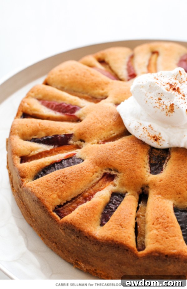 Sweet Plum Cake with Tangy Yogurt Cream 3 Close-up of baked spiced plum cake showing the plum slices and golden crust, ready to be served