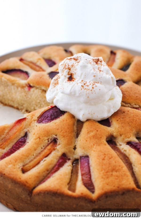Sweet Plum Cake with Tangy Yogurt Cream 5 Fresh plums and essential baking ingredients laid out on a rustic surface, ready for cake preparation