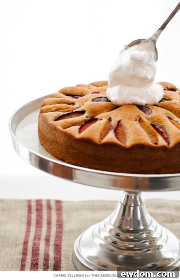 Sweet Plum Cake with Tangy Yogurt Cream 7 A stunning top-down view of the whole Spiced Plum Cake with a mound of whipped yogurt in the center, garnished with cinnamon