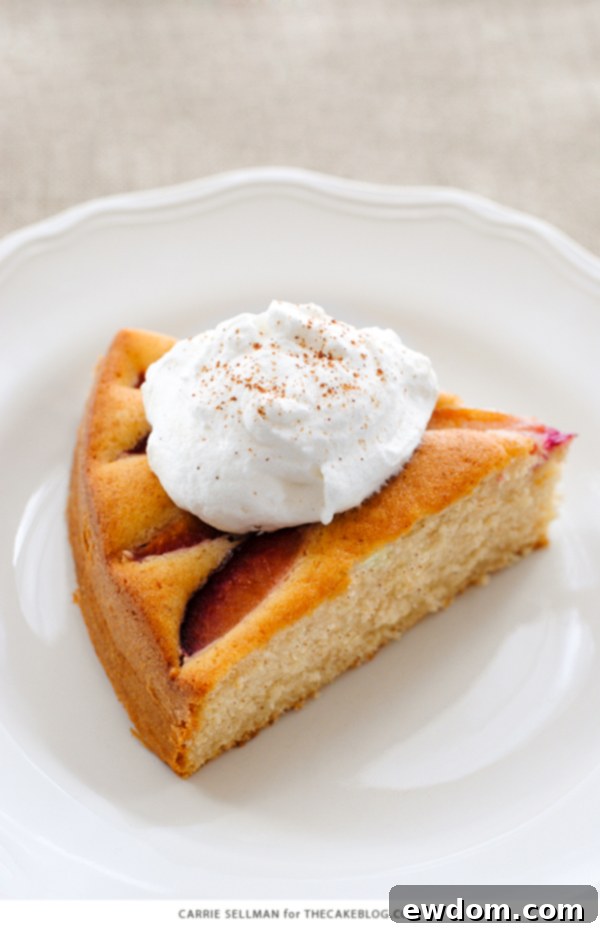 Sweet Plum Cake with Tangy Yogurt Cream 8 The full, baked Spiced Plum Cake with a generous portion of whipped yogurt, beautifully presented and ready to slice