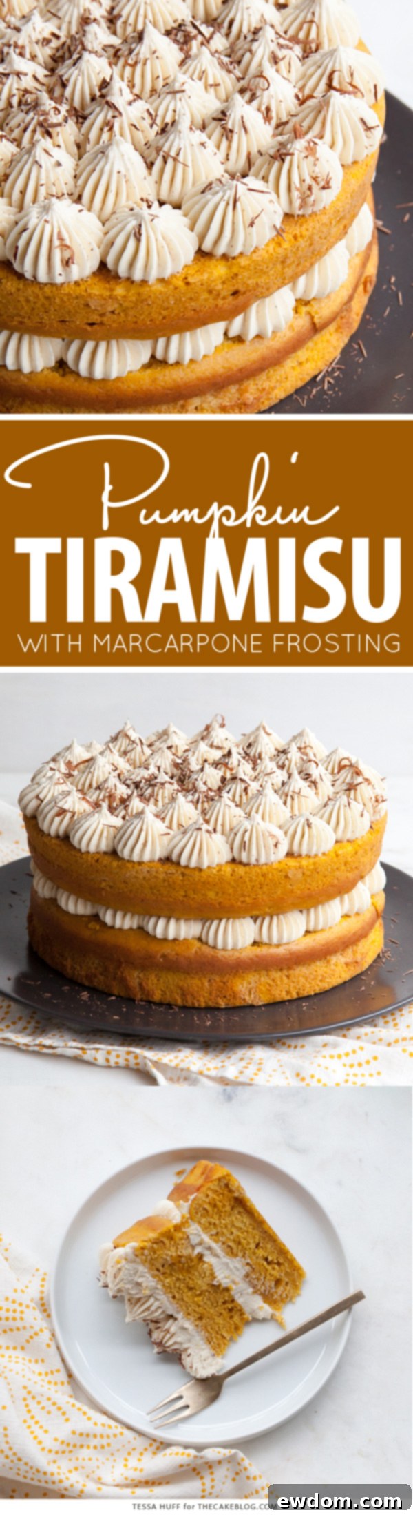 Pumpkin Tiramisu Cake - pumpkin spice cake soaked with coffee liqueur, fluffy mascarpone frosting and chocolate shavings | Tessa Huff for TheCakeBlog.com