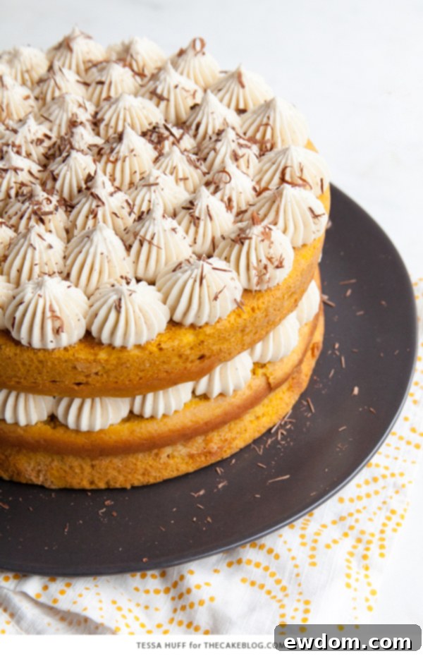 Pumpkin Tiramisu Cake - pumpkin spice cake soaked with coffee liqueur, fluffy mascarpone frosting and chocolate shavings | Tessa Huff for TheCakeBlog.com