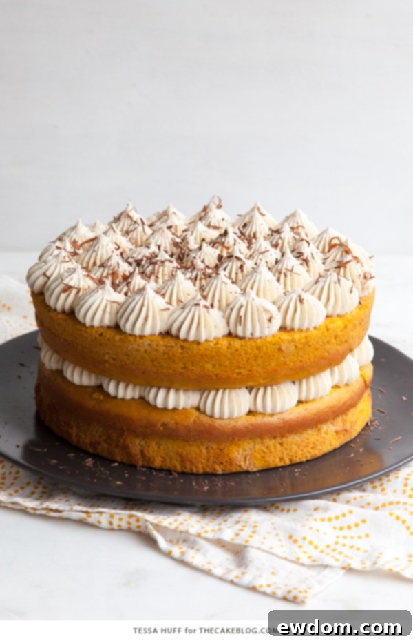 Pumpkin Tiramisu Cake - pumpkin spice cake soaked with coffee liqueur, fluffy mascarpone frosting and chocolate shavings | Tessa Huff for TheCakeBlog.com