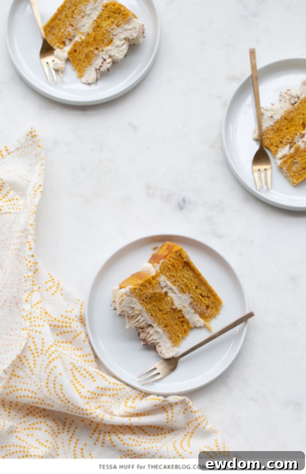 Pumpkin Tiramisu Cake - pumpkin spice cake soaked with coffee liqueur, fluffy mascarpone frosting and chocolate shavings | Tessa Huff for TheCakeBlog.com