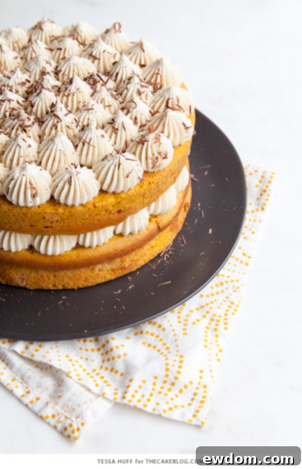 Pumpkin Tiramisu Cake - pumpkin spice cake soaked with coffee liqueur, fluffy mascarpone frosting and chocolate shavings | Tessa Huff for TheCakeBlog.com