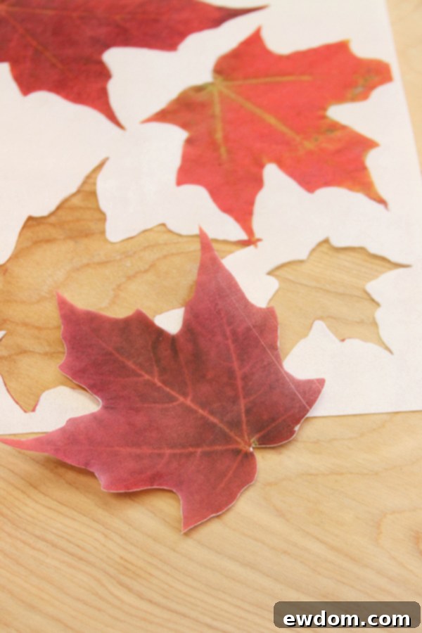Steps for creating edible wafer paper leaves: photocopying real leaves with edible ink and attaching stems