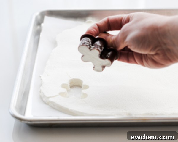 Cloud Cubes 9 Close-up of Festive Shapes Cut from Frozen Whipped Cream