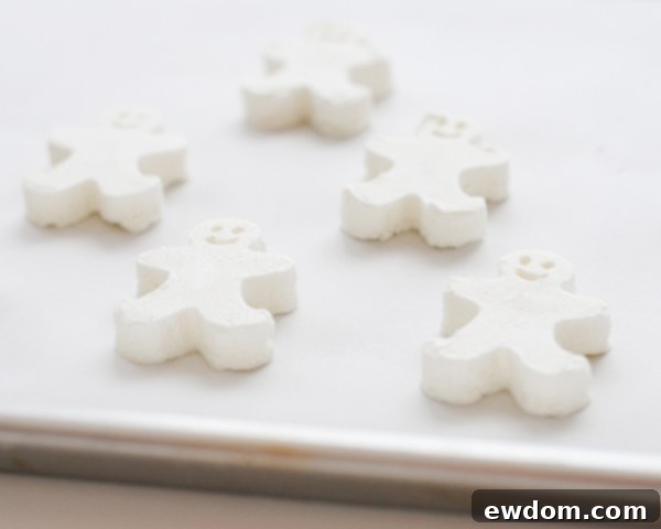 Cloud Cubes 11 Frozen Whipped Cream Cubes Stored in an Airtight Container