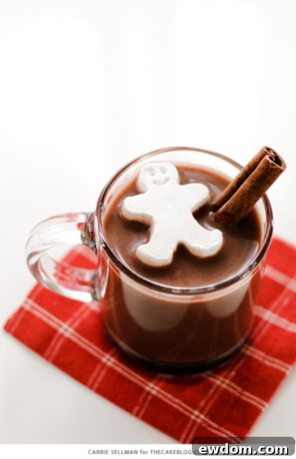 Cloud Cubes 12 Hot Chocolate with a Festive Frozen Whipped Cream Topper and Cinnamon Stick