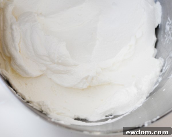 Cloud Cubes 6 Chilling Mixing Bowl and Whisk for Homemade Whipped Cream