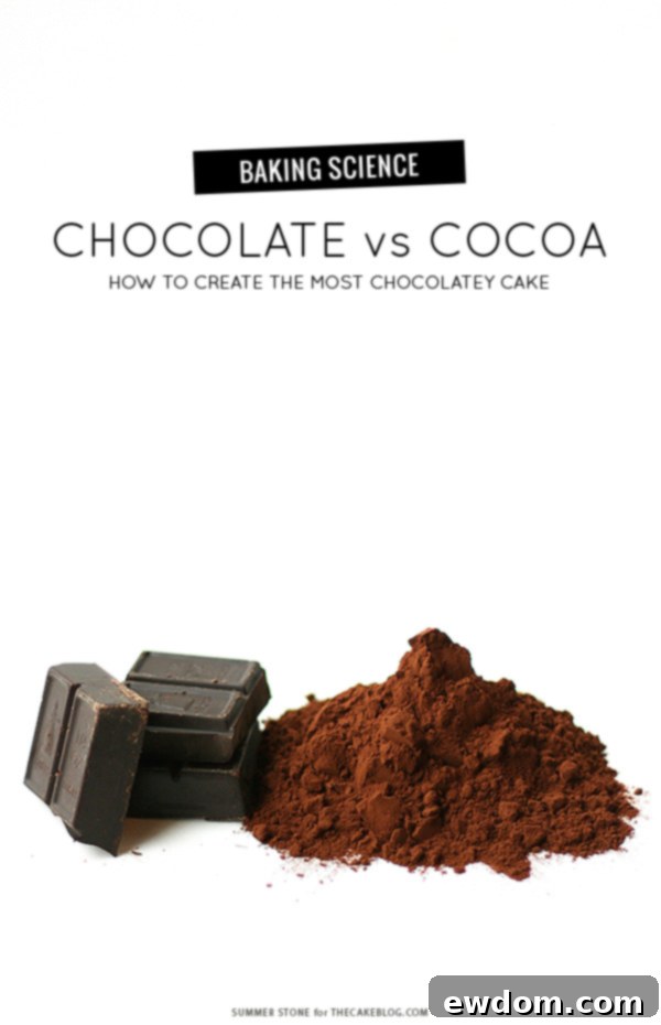 Chocolate vs Cocoa - how to make the most chocolatey cake | by Summer Stone for TheCakeBlog.com