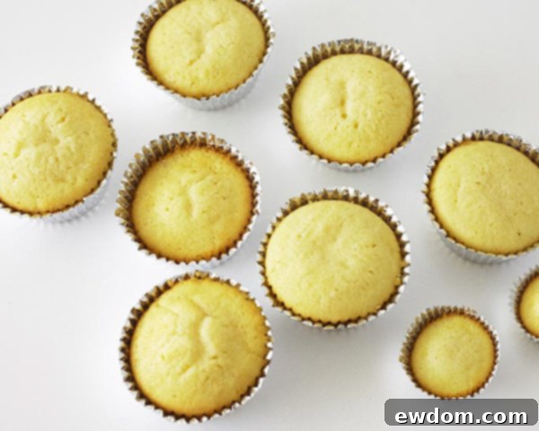 Freshly baked cupcakes in silver foil liners, ready for decorating into a ski scene.